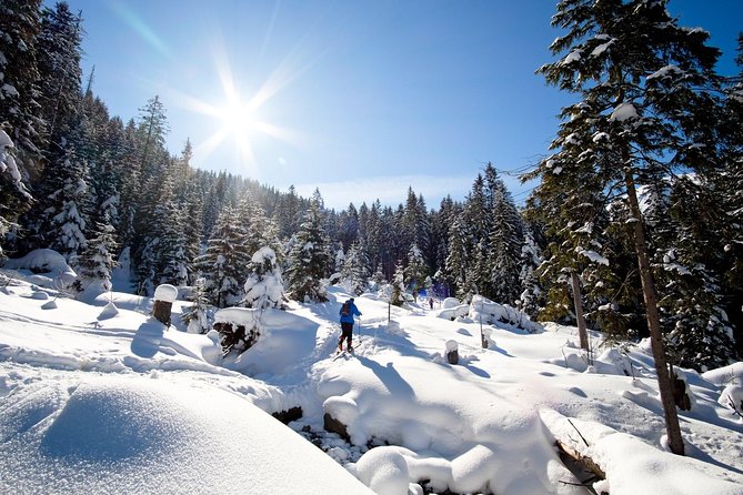 4 hours skitour trip in Tatra Mountains for beginners with renting equipment - Where this skitour fits in Poland’s Tatras
