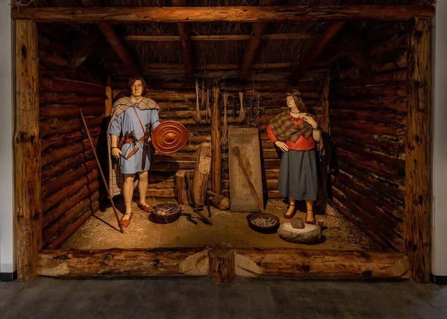 Archaeological Museum of Krakow Entrance Ticket - Practical tips so your visit goes smoothly