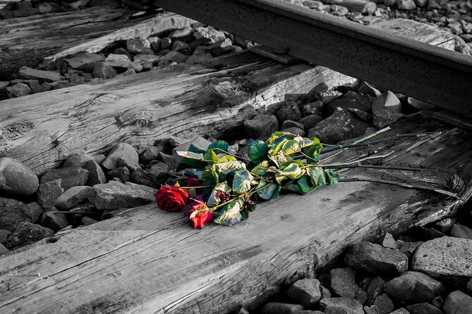 Auschwitz Birkenau and Salt Mine Full Day Guided Tour from Krakow hotel pick up - Should you book this Auschwitz-Birkenau and Wieliczka Salt Mine tour?