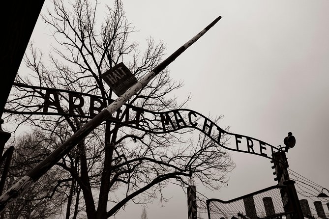 Auschwitz-Birkenau and Wieliczka Salt Mine Day Tour from Krakow with private car - Key points that make this tour worth your time