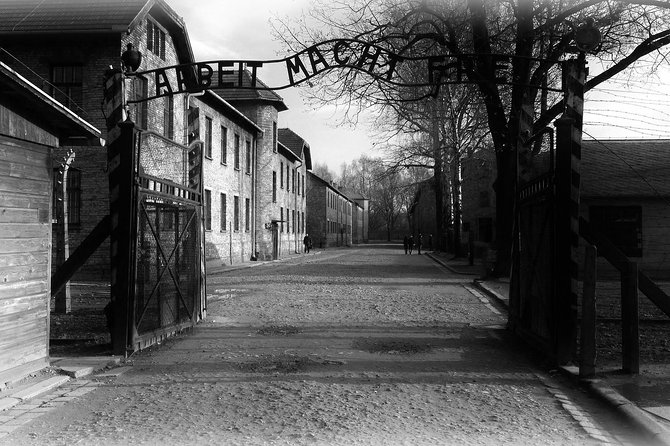 Auschwitz & Birkenau Best Value Guided Tour -Skip The LineTickets - The group size and pacing trade-off (it can feel rushed)
