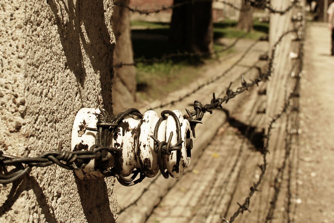 Auschwitz Birkenau: Complete Private Tour - Comfortable Krakow to the camps, with real ride comfort