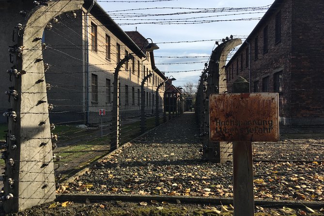 Auschwitz-Birkenau Day Tour from Wroclaw - What the longer day feels like: timing pressure, breaks, and weather reality