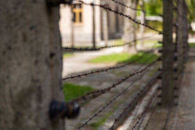 Auschwitz-Birkenau: Day Trip & Transfer from Kraków - Birkenau first: what you’ll do there and why that order matters