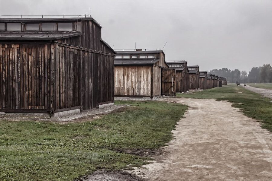 Auschwitz-Birkenau: Entrance Ticket and Live Tour Guide - Key things to know before you go
