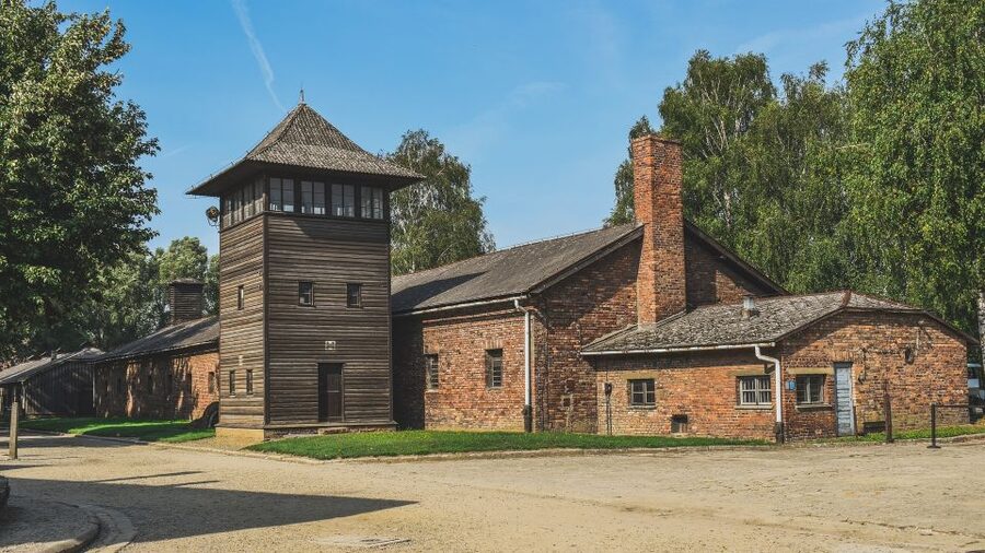Auschwitz-Birkenau: Entrance Ticket and Live Tour Guide - Options from Krakow, shuttle service, and how to plan your day
