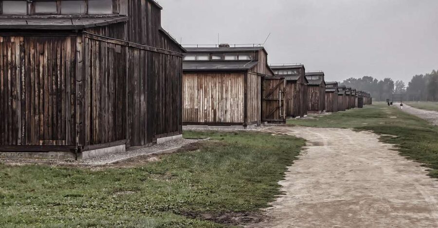 Auschwitz-Birkenau: Entrance Ticket and Live Tour Guide - Where you meet, how check-in tends to work, and why accuracy matters