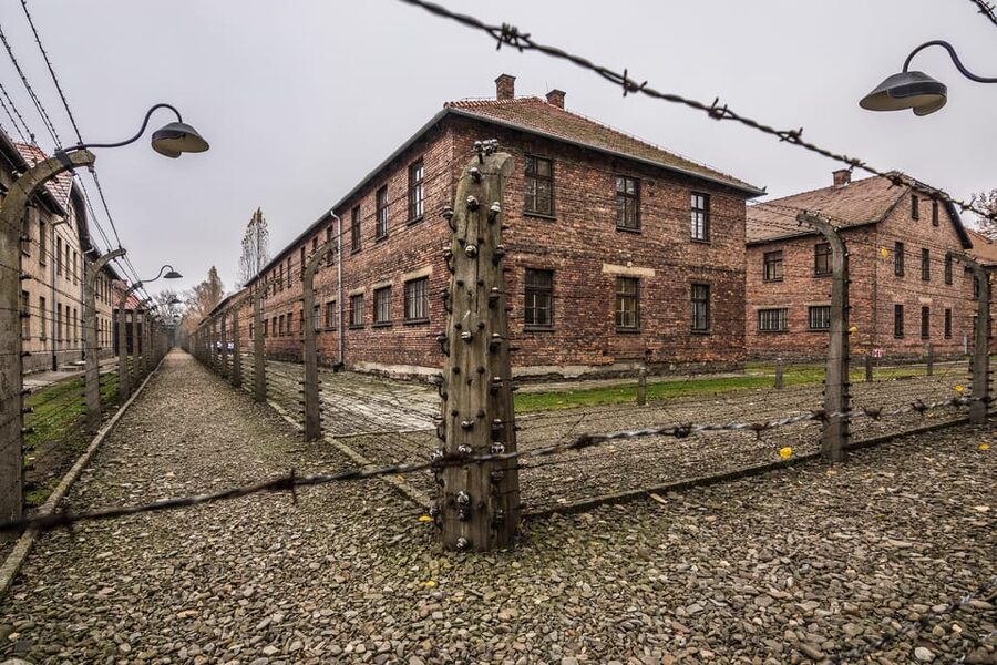 Auschwitz-Birkenau: Guided Tour and Skip-The-Line Ticket - Auschwitz II Birkenau: where the scale hits you