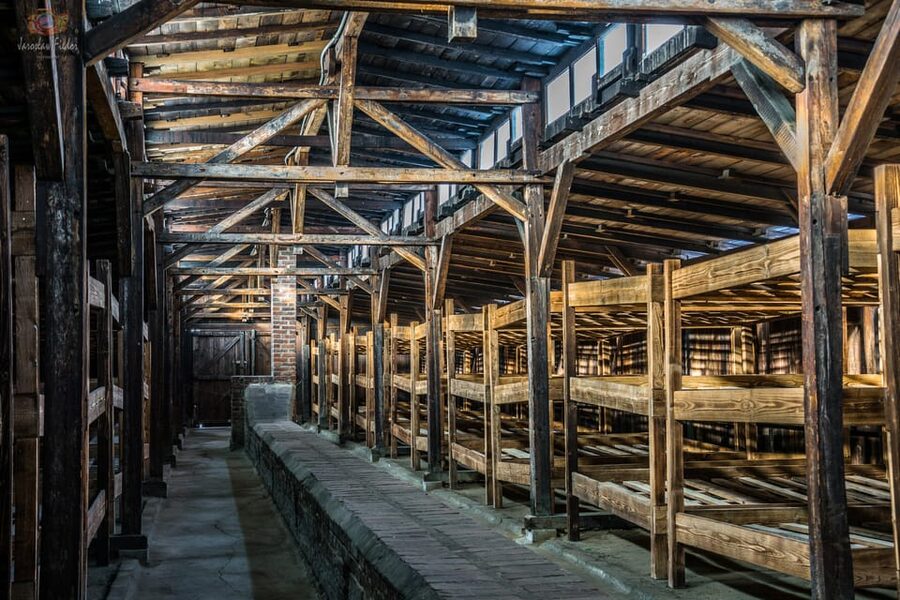 Auschwitz-Birkenau: Guided Tour and Skip-The-Line Ticket - What to bring, what not to bring, and how to avoid entrance headaches
