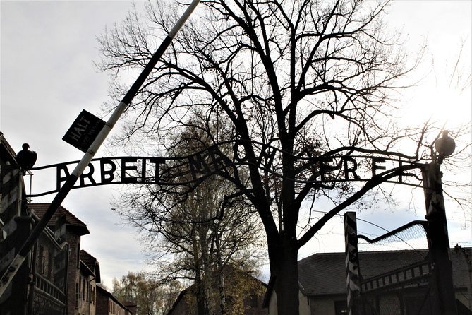 Auschwitz-Birkenau Guided Tour by Private Transport from Krakow - Who This Trip Suits Best (and Who May Want Another Option)