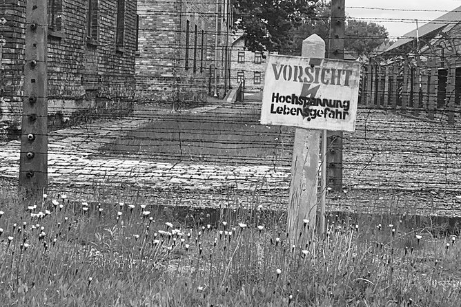 Auschwitz-Birkenau guided tour from Krakow - private car - English guide experience: what strong narration does for you