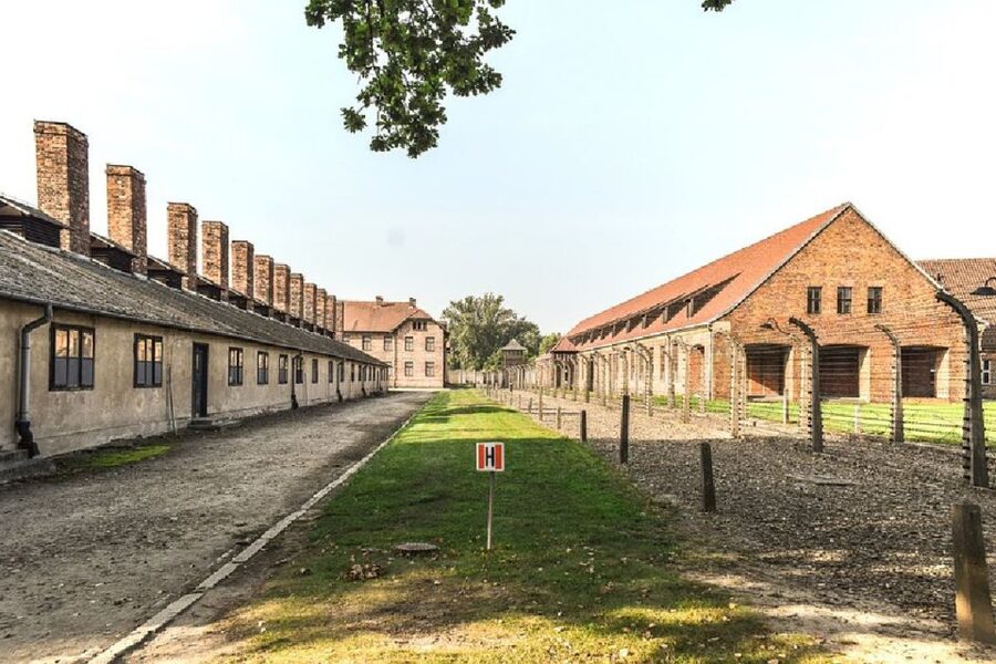 Auschwitz-Birkenau Guided Tour & Transfer from Krakow - Key things to know before you go