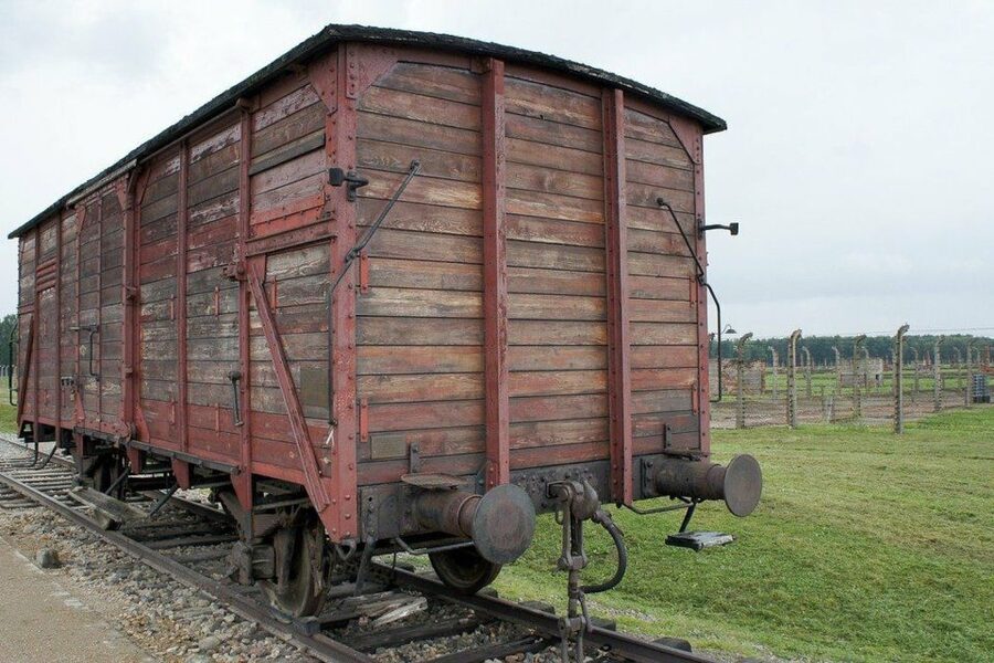 Auschwitz-Birkenau Guided Tour & Transfer from Krakow - Transfer to Birkenau, then Auschwitz II-Birkenau in one focused block