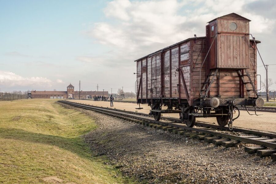 Auschwitz-Birkenau Guided Tour & Transfer from Krakow - Who this suits best, and who should think twice