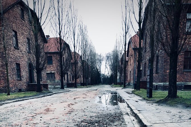 Auschwitz-Birkenau Guided Tour with Private Transport from Kraków - Key Things to Know Before You Go