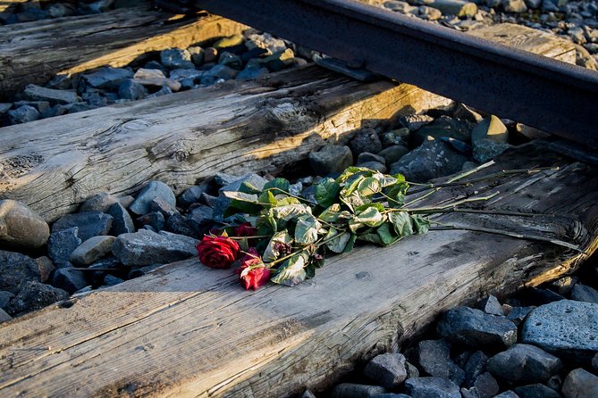 Auschwitz Birkenau Guided Tour with Ticket Hotel Pickup Small Van - Birkenau (Camp II): where scale hits hardest
