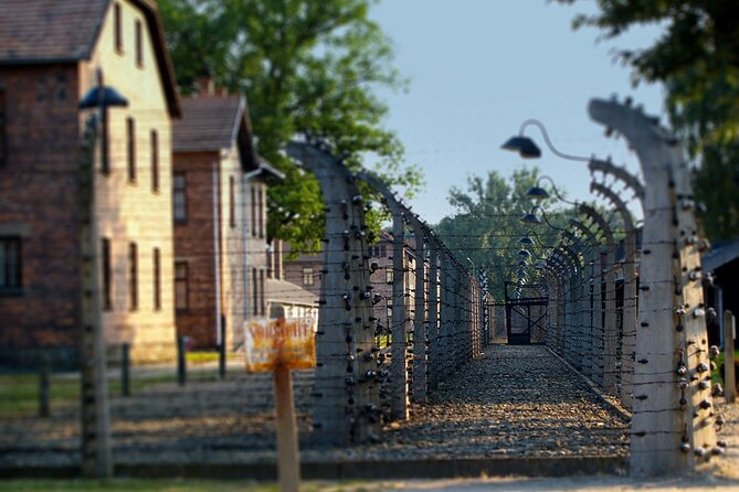 Auschwitz & Birkenau Live Guide Tour Entrance Ticket - Key highlights worth knowing