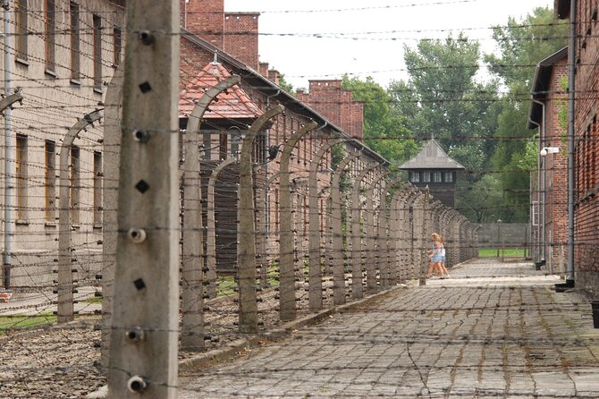 Auschwitz & Birkenau Live Guide Tour Entrance Ticket - Price and value: why $56.45 can be a good deal, if it runs smoothly