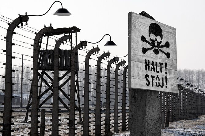 Auschwitz-Birkenau Memorial and Museum Guided Tour from Krakow - Your on-site timeline, and why waiting can happen