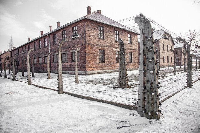Auschwitz-Birkenau Memorial and Museum Guided Tour from Krakow - Birkenau-style sights you should know you will encounter