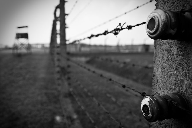 Auschwitz-Birkenau Memorial Entrance Ticket and Guided Tour - What the guide and group size do for you on a day like this