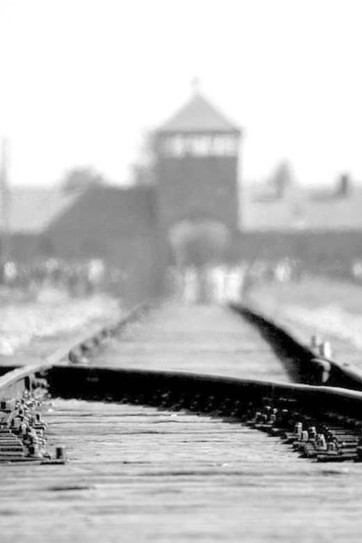 Auschwitz-Birkenau: Memorial Entry Ticket and Guided Tour - Key things to know before you go