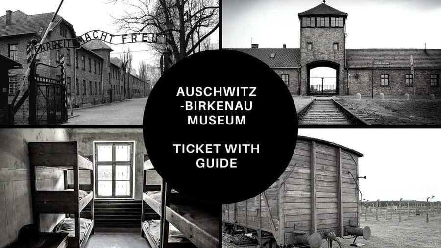 Auschwitz-Birkenau: Memorial Entry Ticket and Guided Tour - The guide style question: what happens if the tour feels rushed