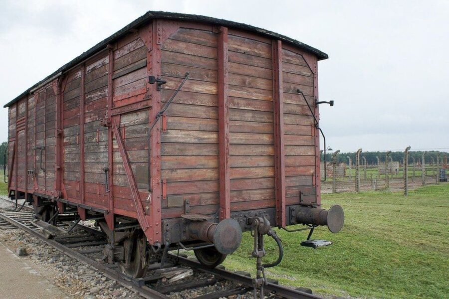 Auschwitz-Birkenau: Museum Entry Ticket with Guided Tour - The 30-Minute Break: How to Use the Reset Well