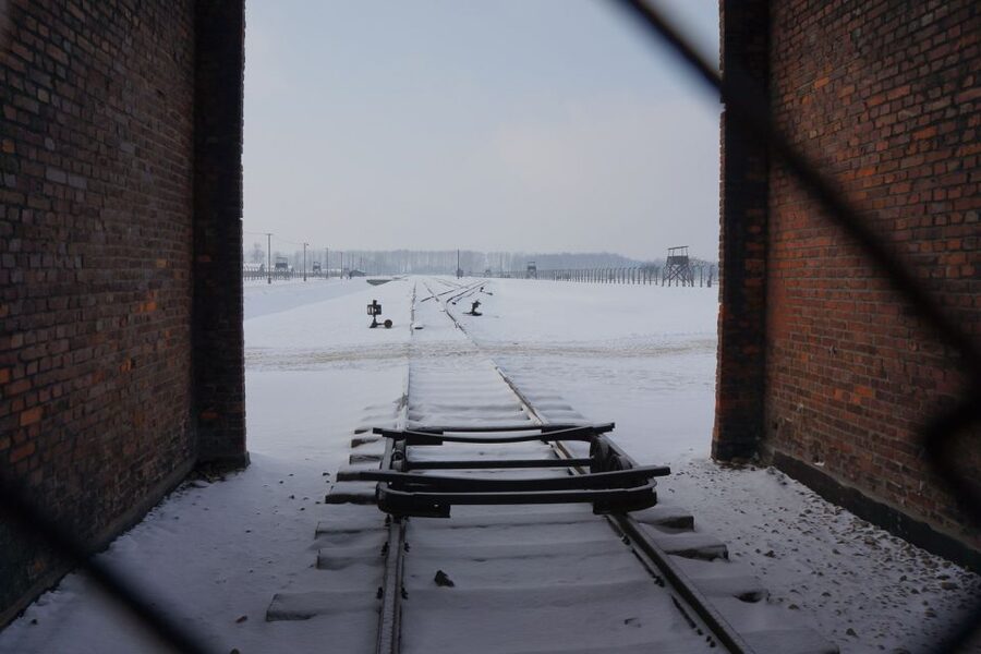 Auschwitz-Birkenau: Museum Entry Ticket with Guided Tour - Auschwitz II-Birkenau in 75 Minutes: Railway Platform and the Ruins