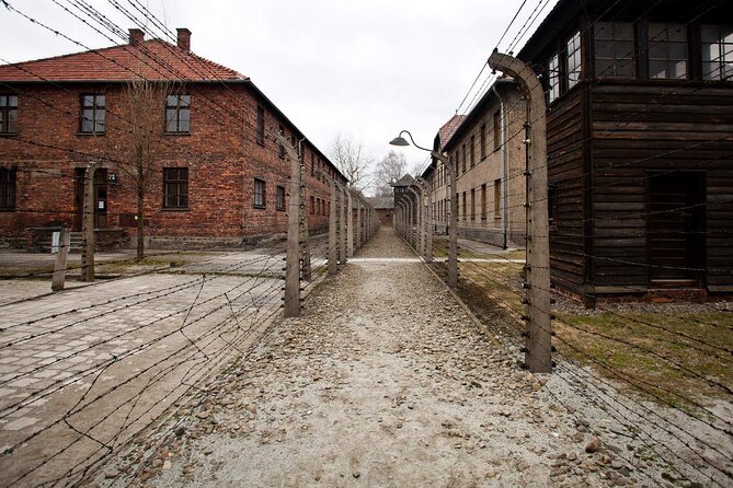 Auschwitz-Birkenau & Salt Mine Day tour - Stairs, steps, and getting the most out of the underground tour