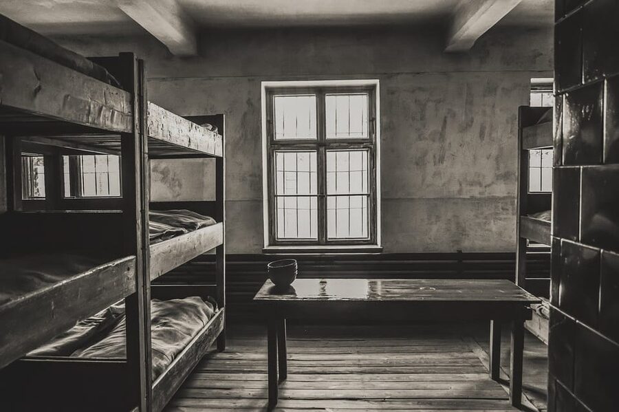 Auschwitz-Birkenau & Salt Mine Tour in One Day from Krakow - Key highlights to know before you go