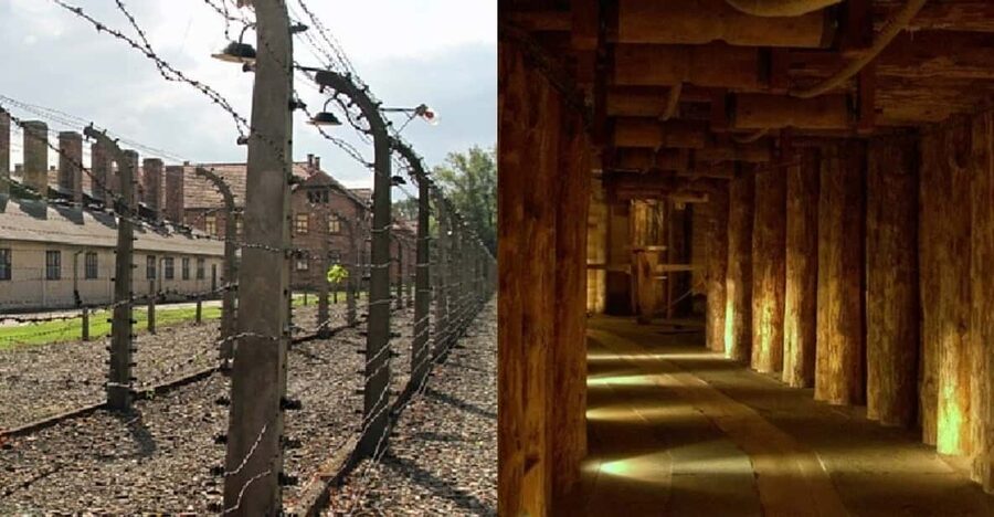 Auschwitz-Birkenau & Salt Mine Tour in One Day from Krakow - The Wieliczka route: 800 steps, cool air, and salt-carved art