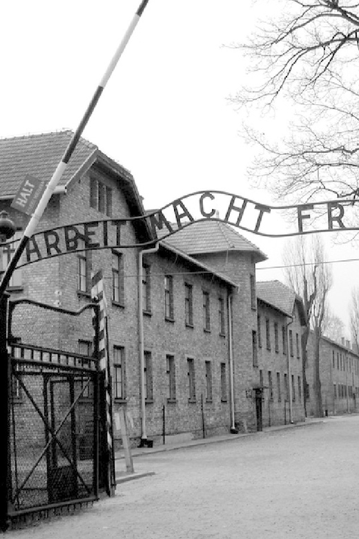 Auschwitz-Birkenau & Salt Mine Tour in One Day from Krakow - Skip-the-line, but still respect the time