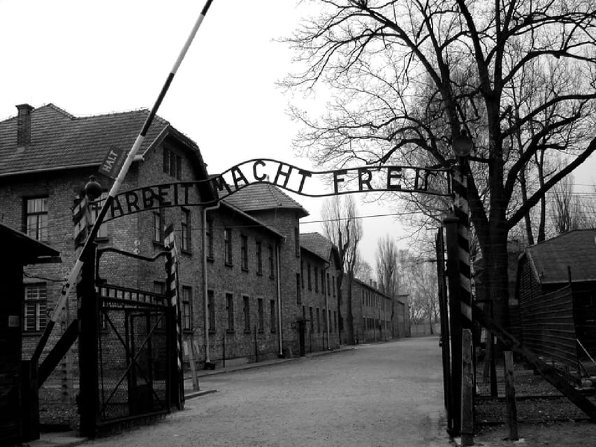 Auschwitz-Birkenau & Salt Mine Tour in One Day from Krakow - What you get for $164, and how to judge value
