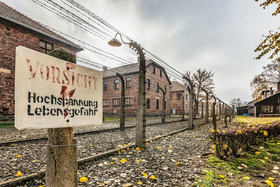 Auschwitz-Birkenau: Skip-the-Line Entry Ticket & Guided Tour - Key highlights that matter on the ground