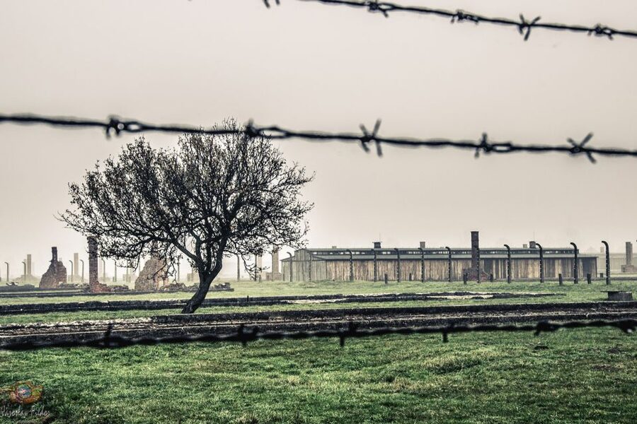 Auschwitz-Birkenau: Skip-the-Line Entry Ticket & Guided Tour - Arriving at Auschwitz with skip-the-line, not skip-the-rules
