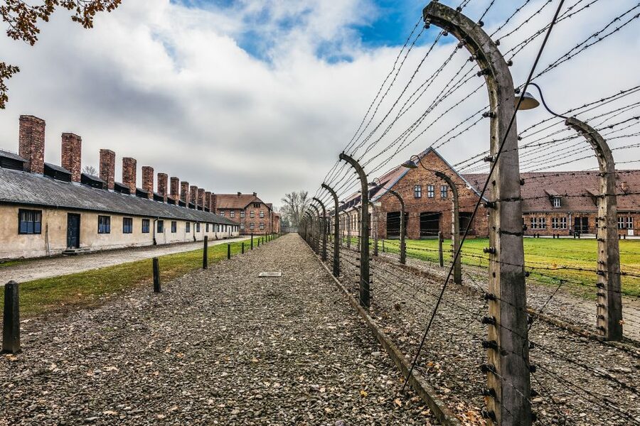 Auschwitz-Birkenau: Skip-the-Line Entry Ticket & Guided Tour - Auschwitz II Birkenau: The scale hits when you walk it