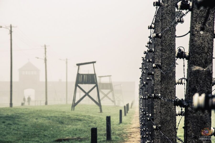 Auschwitz-Birkenau: Skip-the-Line Entry Ticket & Guided Tour - Price and value: why $21 can be worth it even when it feels heavy