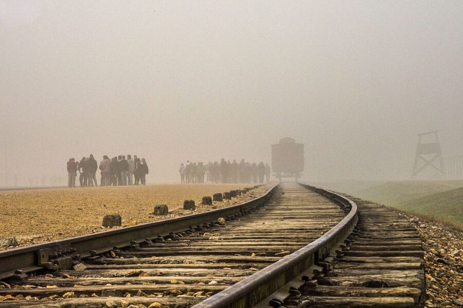 Auschwitz-Birkenau: Skip-the-Line Entry Ticket & Guided Tour - Should you book this Auschwitz-Birkenau guided tour?