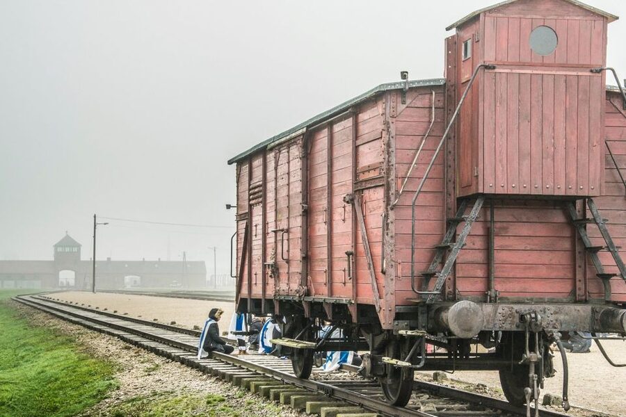 Auschwitz-Birkenau: Skip-the-Line Entry Ticket & Guided Tour - Fast-track entry, security, and what to pack so you do not stall