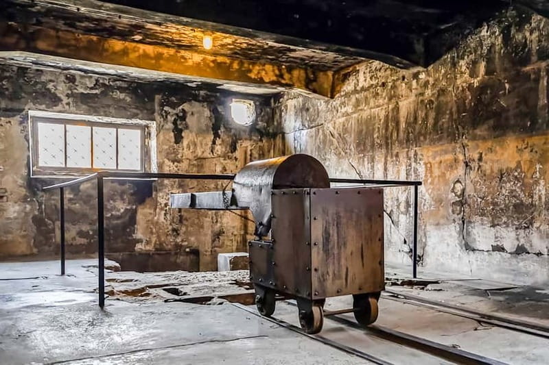 Auschwitz-Birkenau Skip-the-Line Guided Tour - Key things I’d pay attention to