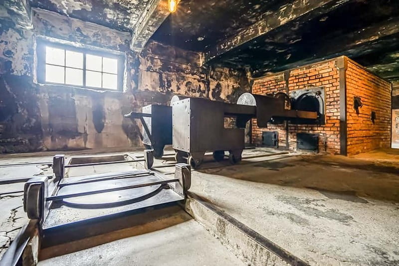 Auschwitz-Birkenau Skip-the-Line Guided Tour - Skip-the-line at Auschwitz I and Birkenau, without wasting your energy