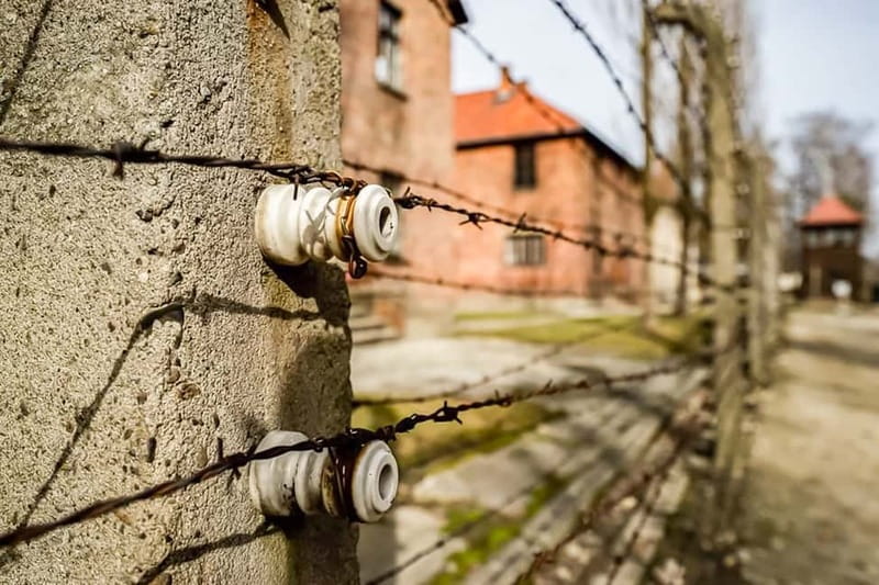 Auschwitz-Birkenau Skip-the-Line Guided Tour - Who this tour suits best, and who should think twice