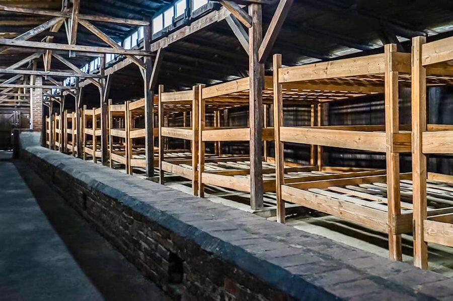 Auschwitz-Birkenau Skip-the-Line Guided Tour - Should you book this Auschwitz-Birkenau guided tour?