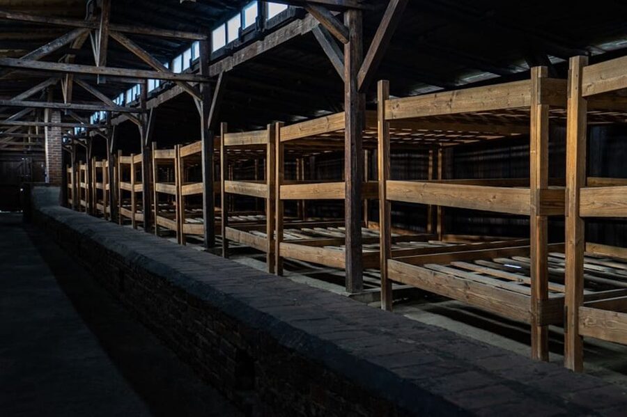 Auschwitz-Birkenau: Skip-the-Line Ticket and Guided Tour - First time at Auschwitz, here is how I’d prep