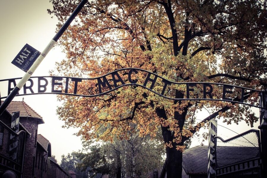 Auschwitz-Birkenau Tour from Katowice with Private Transfers - What You’ll See: Barracks, Gas Chambers, and Museum Exhibits