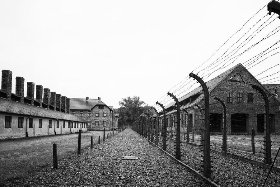 Auschwitz-Birkenau Tour from Katowice with Private Transfers - Who This Tour Fits Best (and Who Should Think Twice)