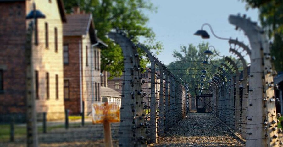 Auschwitz-Birkenau Tour from Katowice with Private Transfers - Skip-the-Line Entry and the 3.5-Hour Guided Tour Inside