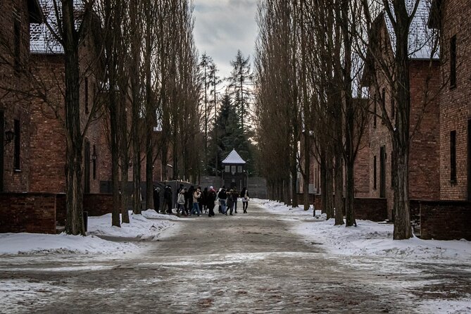 Auschwitz Birkenau Tour from Krakow: Private Transfer + Ticket - Auschwitz I: The Gate, Barracks, and the System Explained