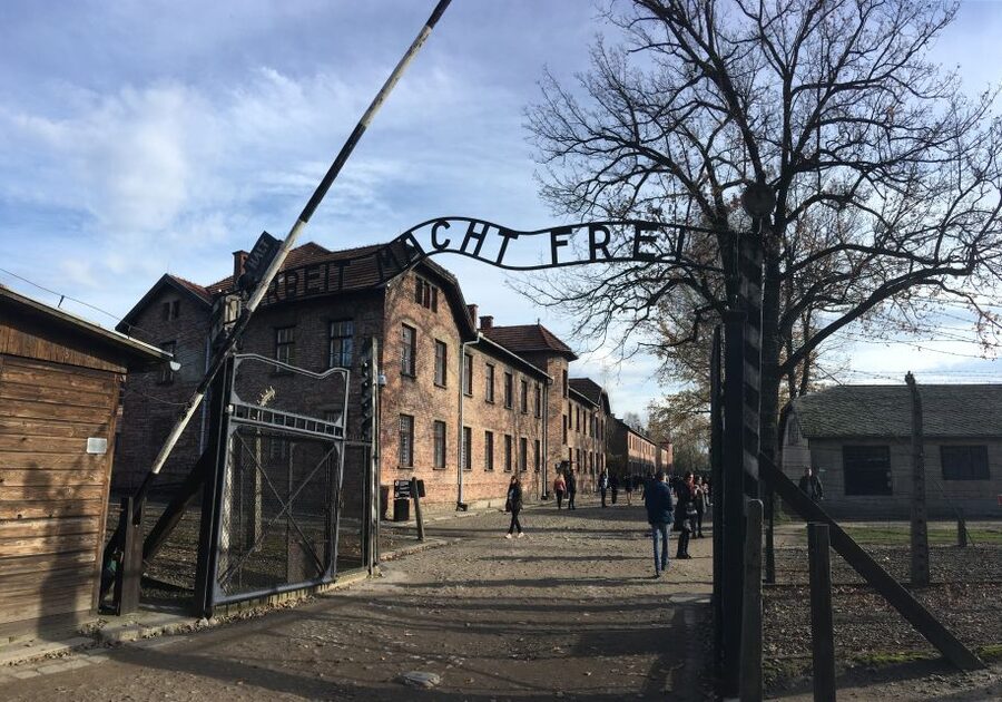 Auschwitz-Birkenau Tour from Wroclaw - Who should book this Auschwitz-Birkenau tour, and who might reconsider